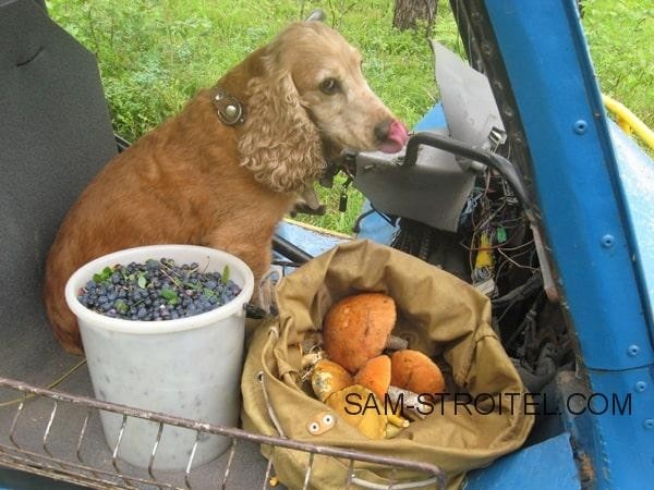Самодельный автомобиль с 4 ведущими и управляемыми колёсами (24 фото) Самодельный автомобиль с 4 ведущими и управляемыми колёсами (24 фото)