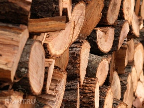 





Все способы заготовить дрова на зиму



