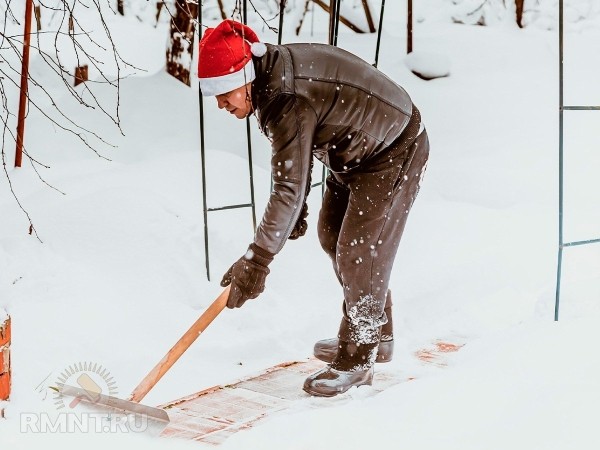 





Защита сада и огорода от морозов: утепление снегом



