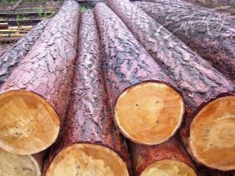 Одноэтажный дом с мансардой: примеры современной планировки